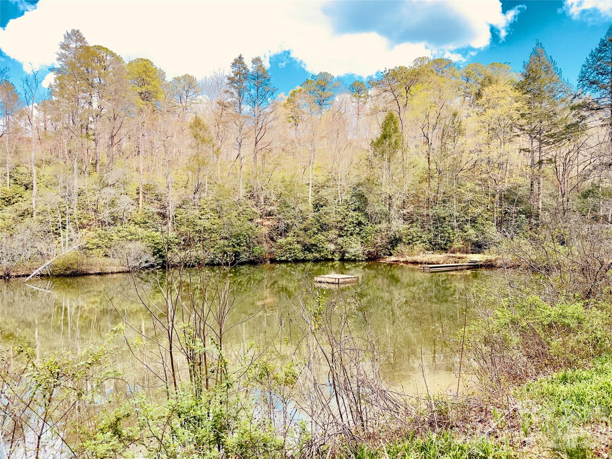 586 Liberty Church Road Marion, NC 28752 - Photo 2 of 8