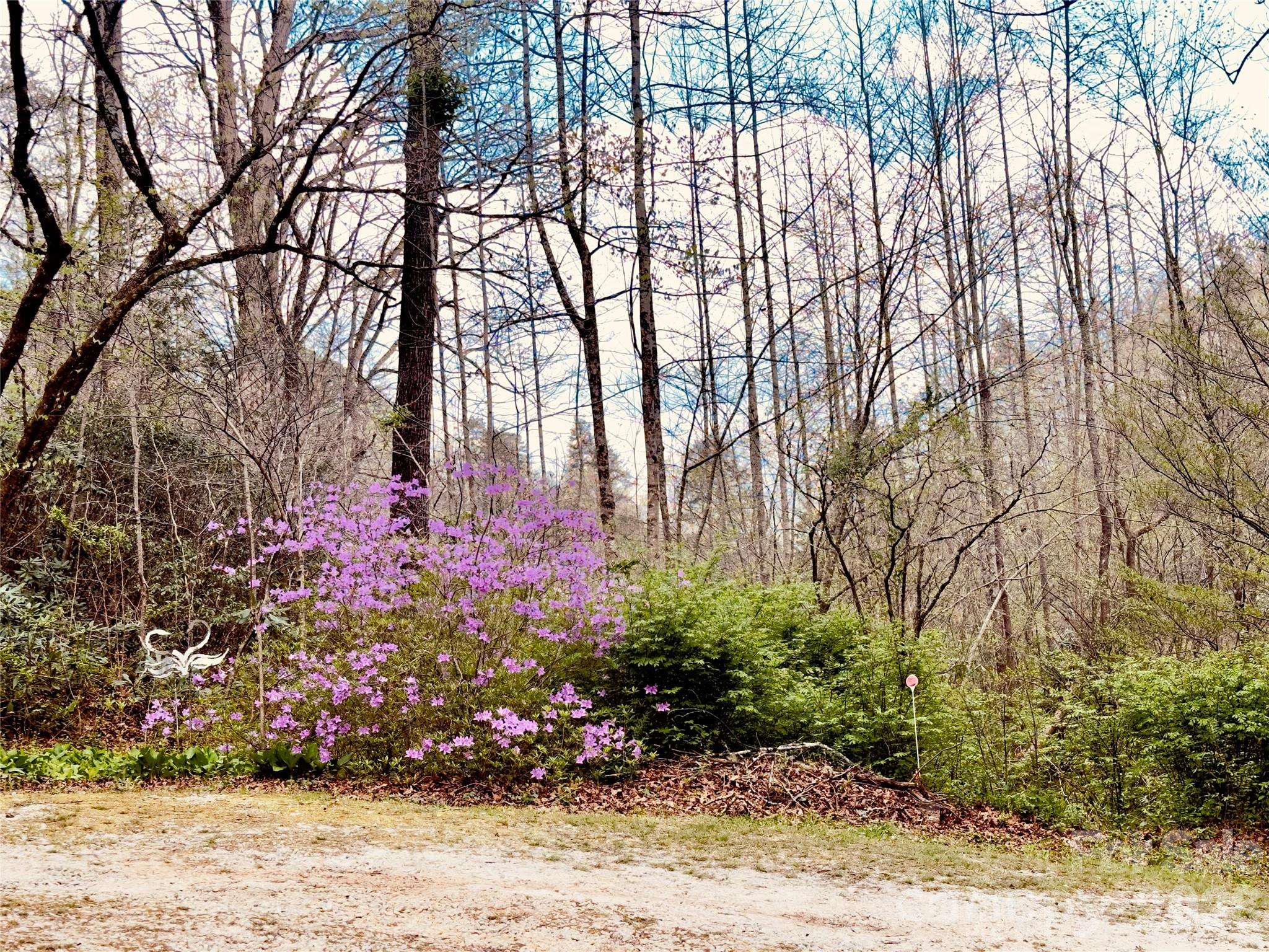 586 Liberty Church Road Marion, NC 28752 - Photo 3 of 8