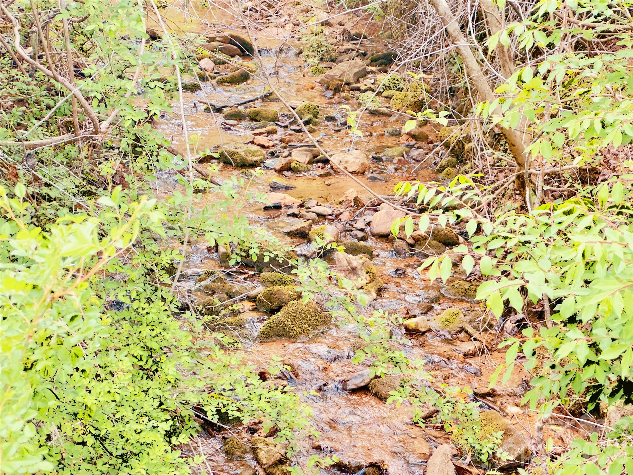 586 Liberty Church Road Marion, NC 28752 - Photo 5 of 8