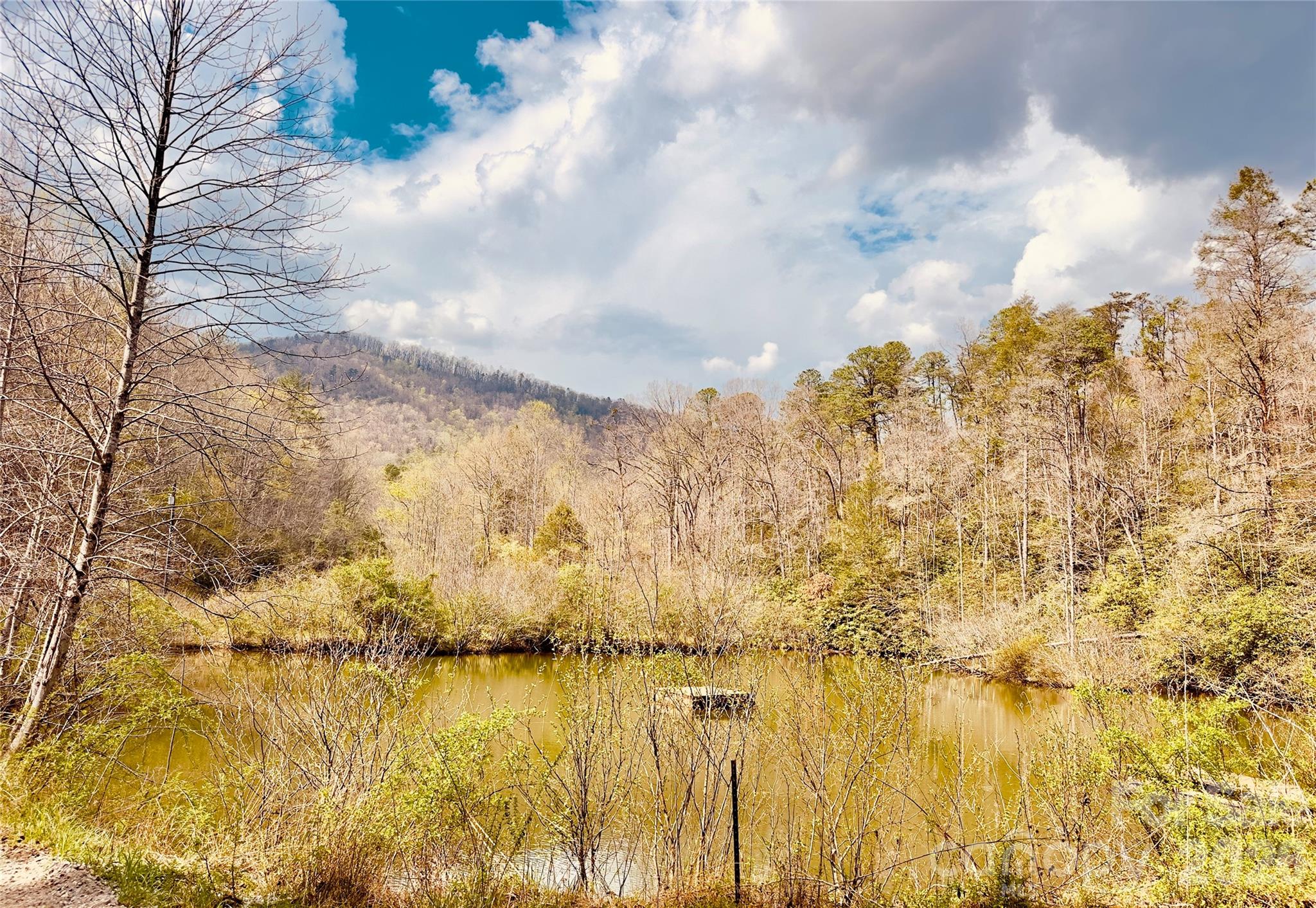 586 Liberty Church Road Marion, NC 28752 - Photo 7 of 8