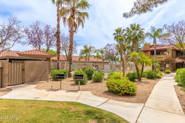 a house with palm tree in front of it