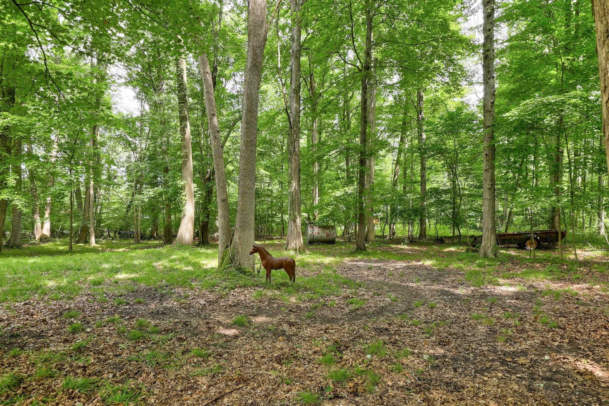8101 Vassar Road Millington, MI 48746 - Photo 46 of 72