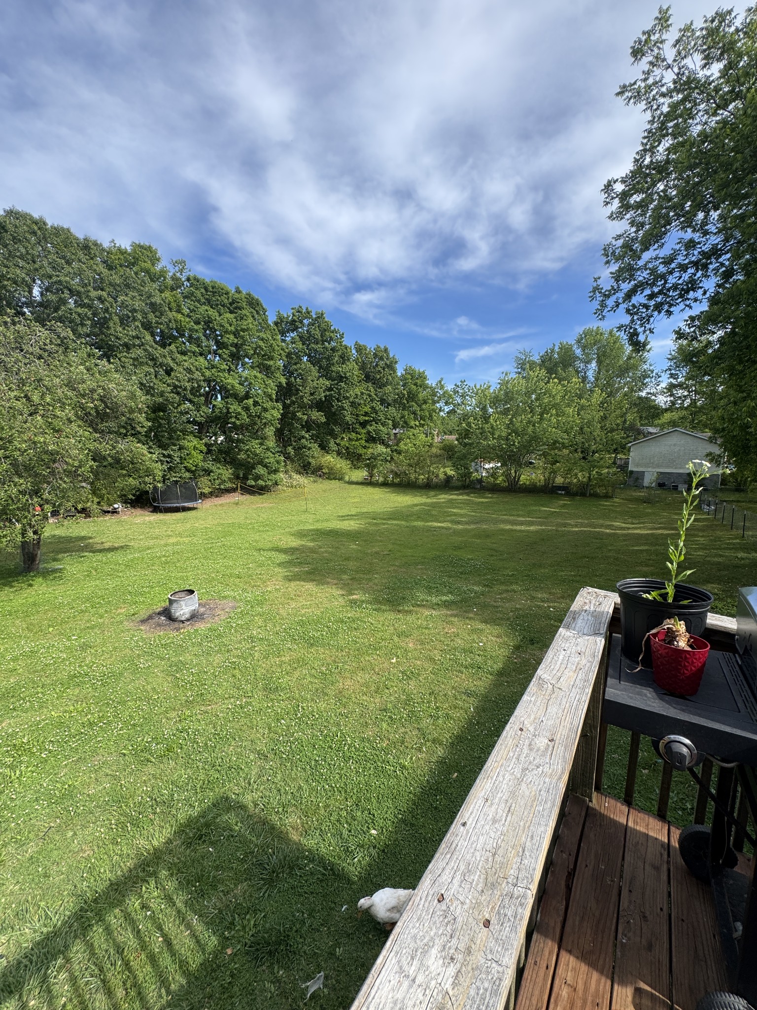 105 Larkins Road White Bluff, TN 37187 - Photo 27 of 38
