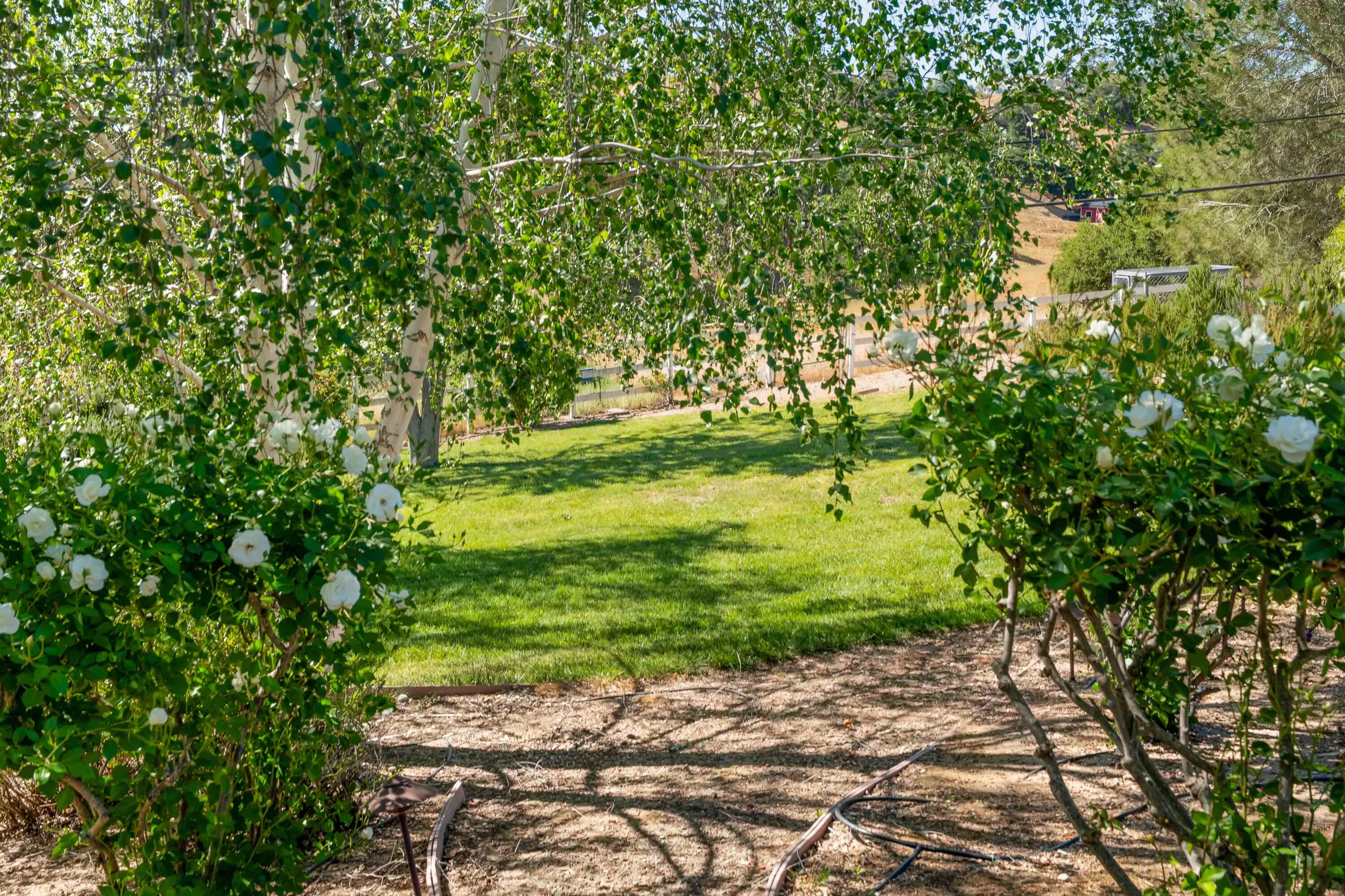 2667 Quail Valley Road Solvang, CA 93463 - Photo 46 of 62 a backyard of a house with a tree