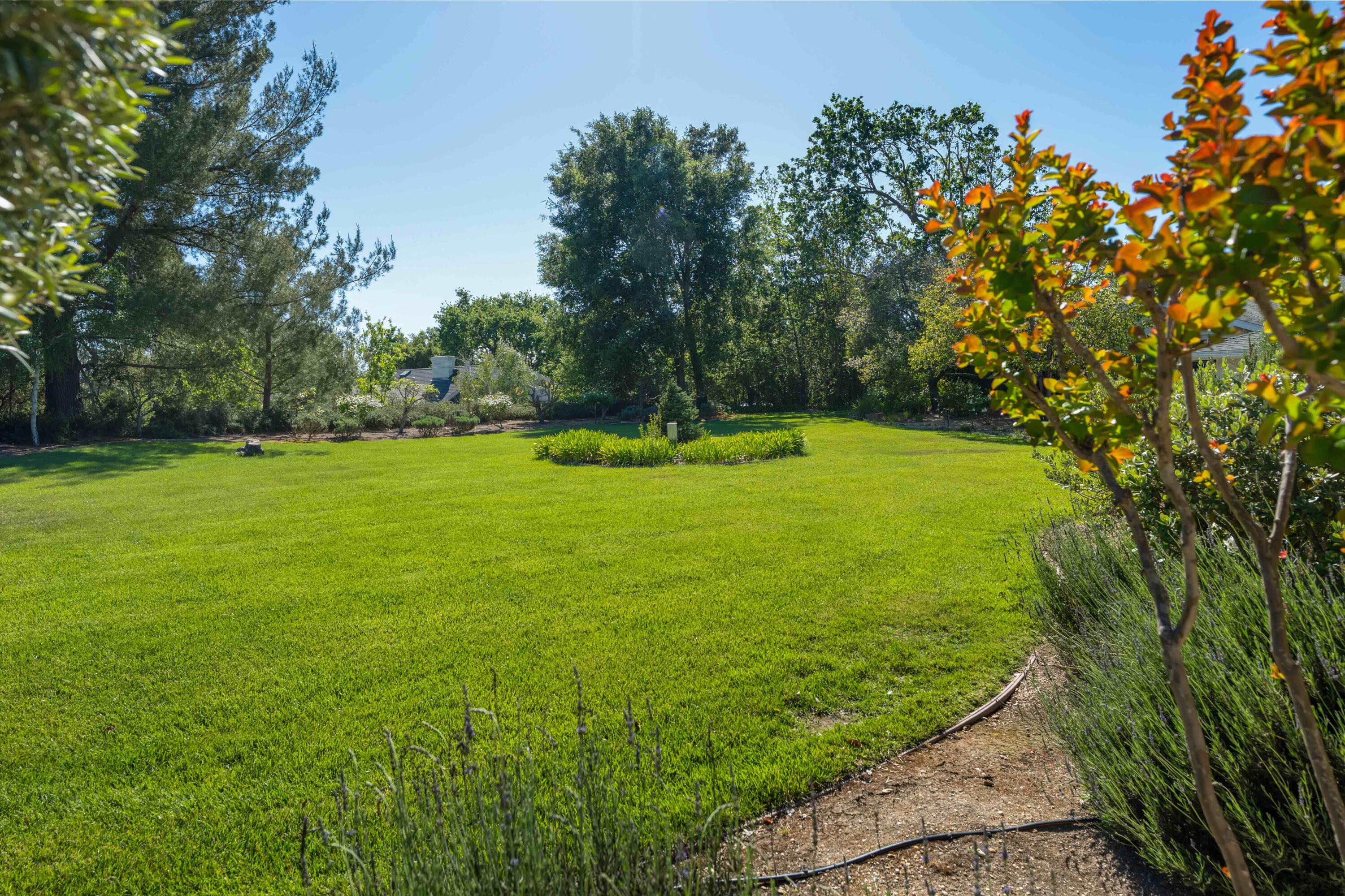 2667 Quail Valley Road Solvang, CA 93463 - Photo 47 of 62 a view of a big yard with large trees