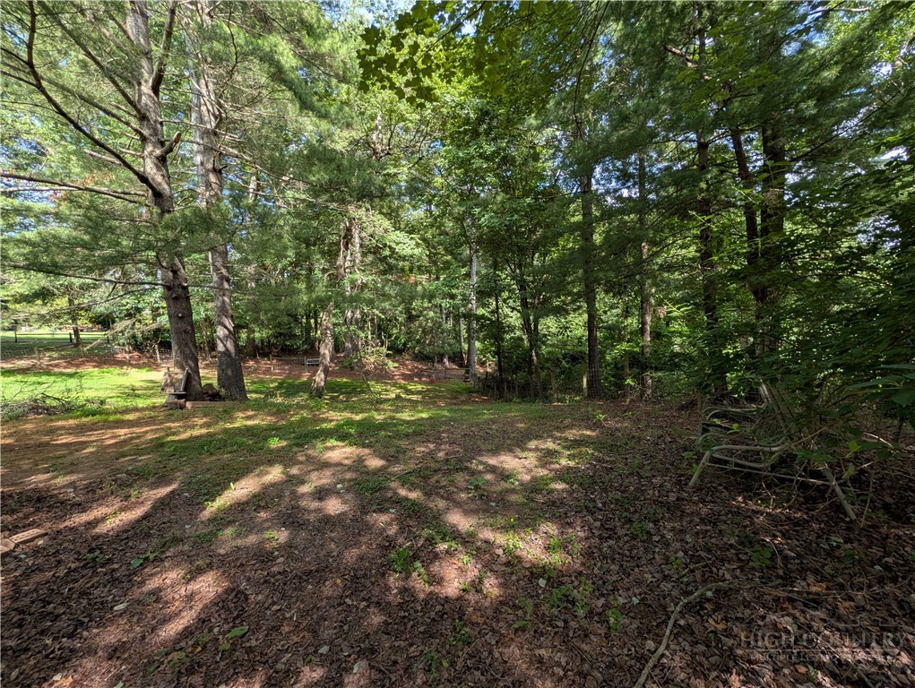 95 Glade Creek Road Sparta, NC 28675 - Photo 9 of 49