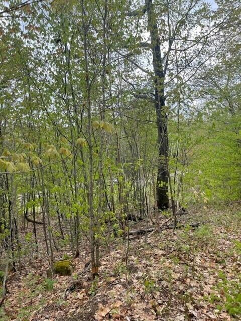 12 Hebert Road Fort Kent, ME 04743 - Photo 3 of 7 3