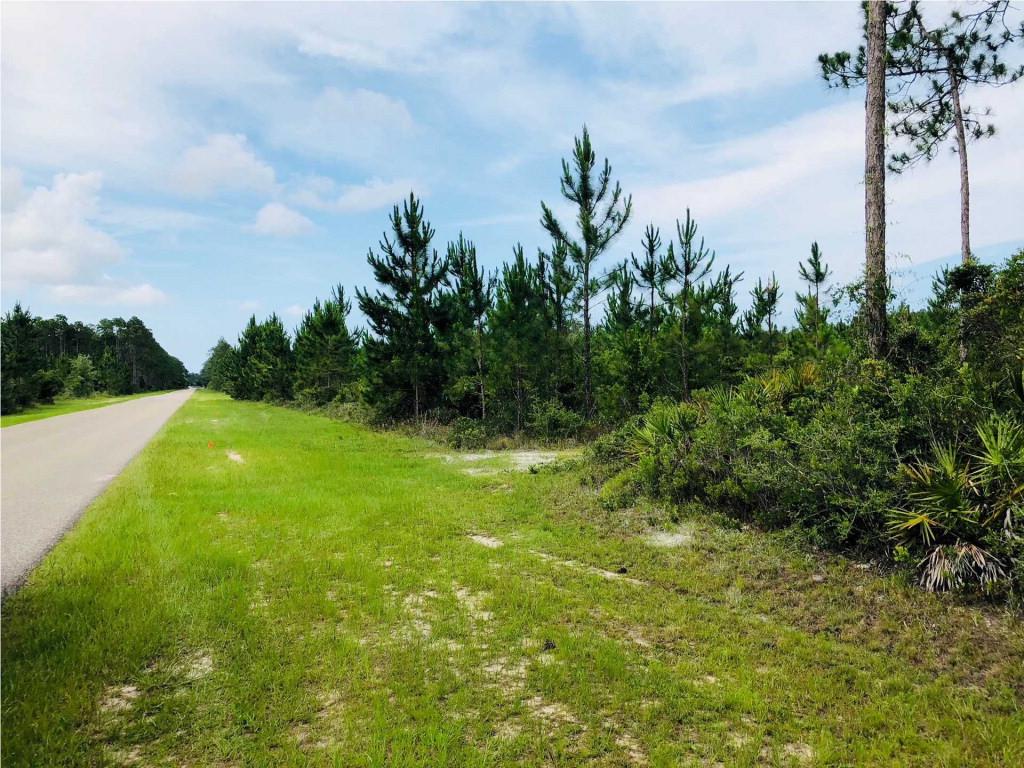 10 Jones Homestead Road Port St. Joe, FL 32456 - Photo 1 of 1 Gallery Image 1