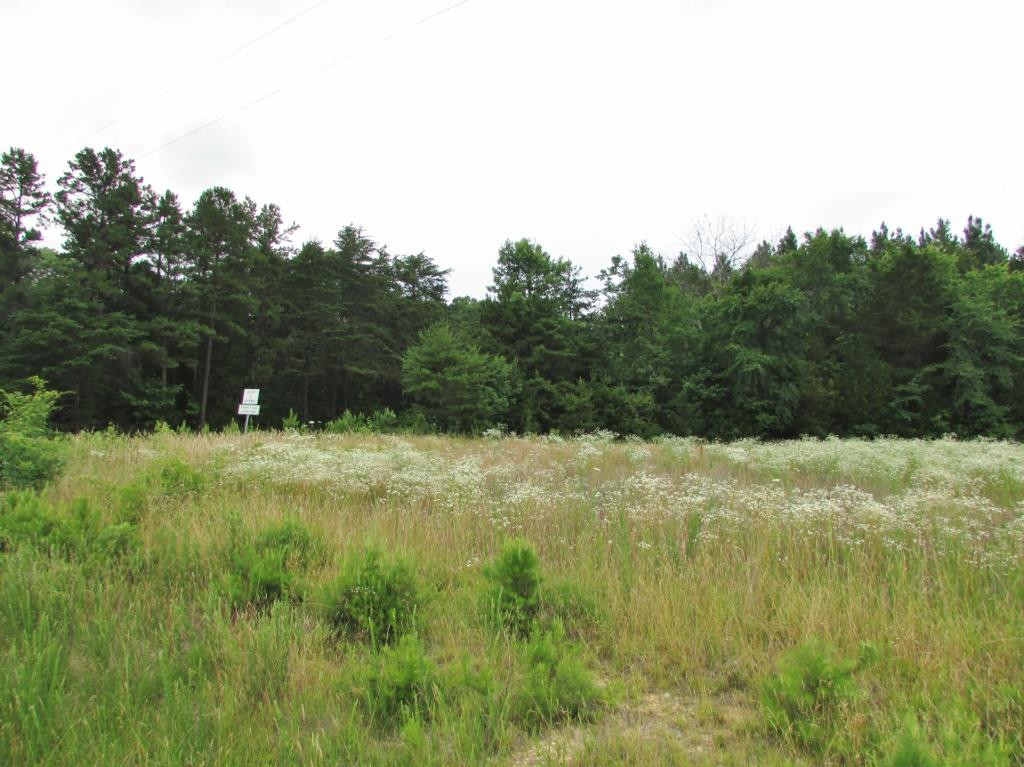 Jim Poole Road Roxboro, NC 27574 - Photo 3 of 11 Photo 3