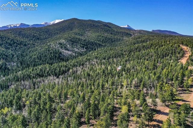 1100 Elk Ridge South Divide, CO 80814 - Photo 5 of 34