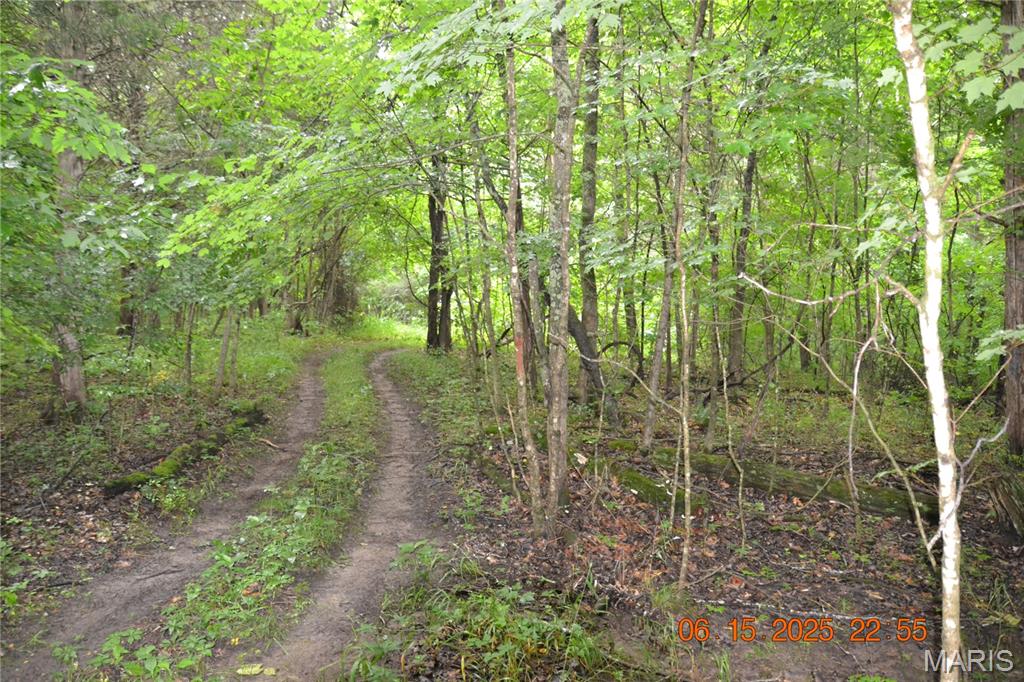 0 Old Cadet Road Bonne Terre, MO 63628 - Photo 12 of 16