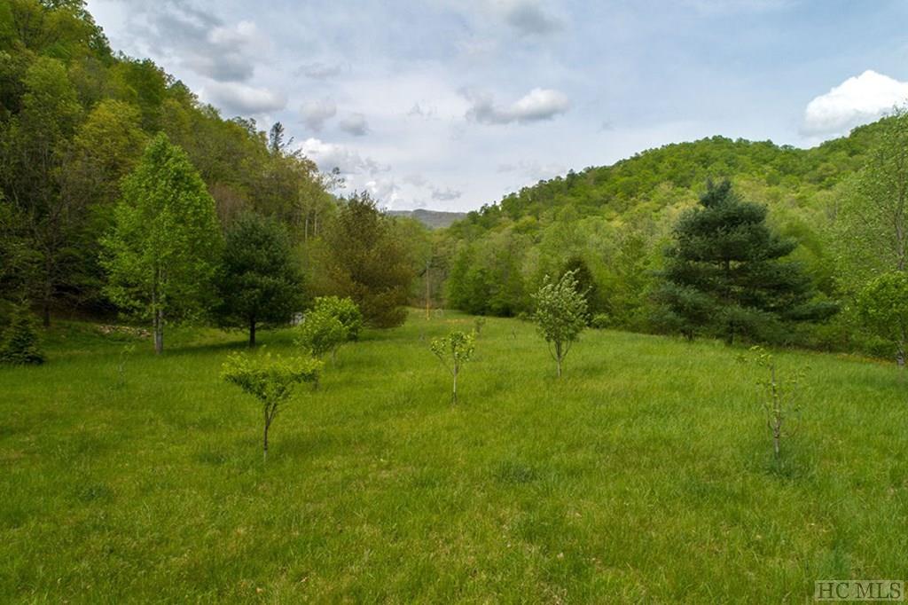 Lot 62 Catnip Road Cullowhee, NC 28723 - Photo 18 of 30 Gallery Image 18