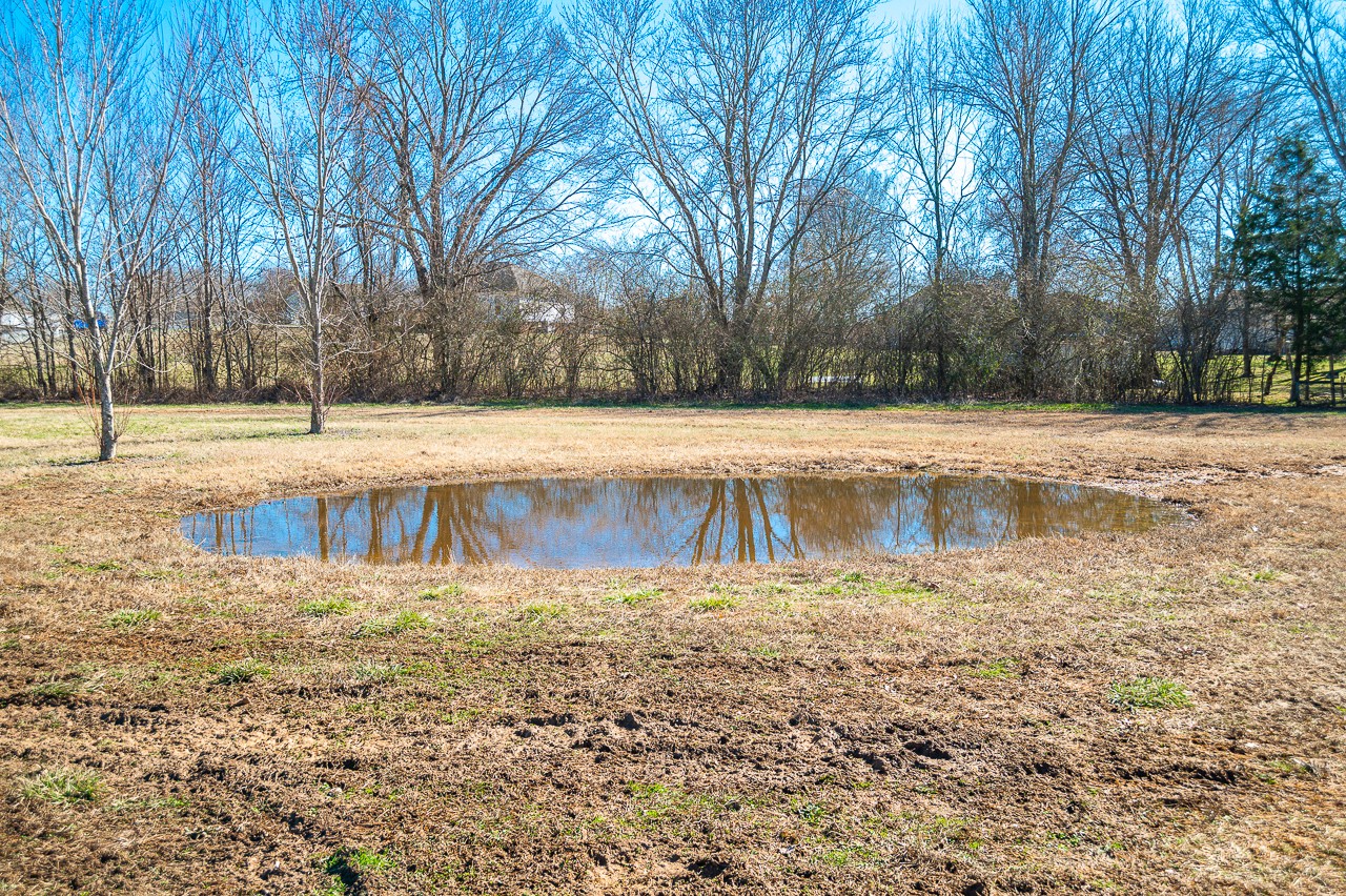 10 Amberwood Road Fayetteville, TN 37334 - Photo 13 of 31