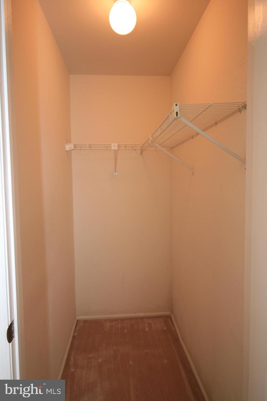 503 A Ginger Drive Mount Laurel, NJ 08054 - Photo 20 of 30 Walk in Closet