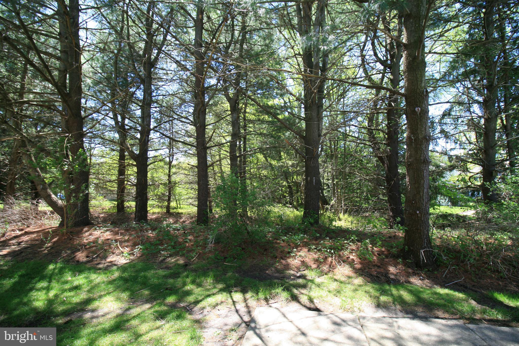 503 A Ginger Drive Mount Laurel, NJ 08054 - Photo 30 of 30 View