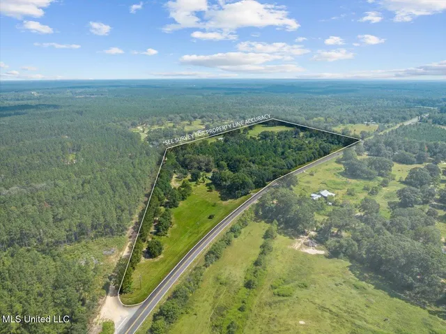 $314,900 | 32186 Ms-63 Street, Leakesville, MS 39451