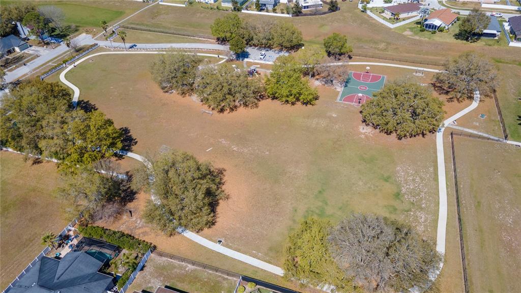 2604 Goldcrest Place Valrico, FL 33596 - Photo 49 of 72