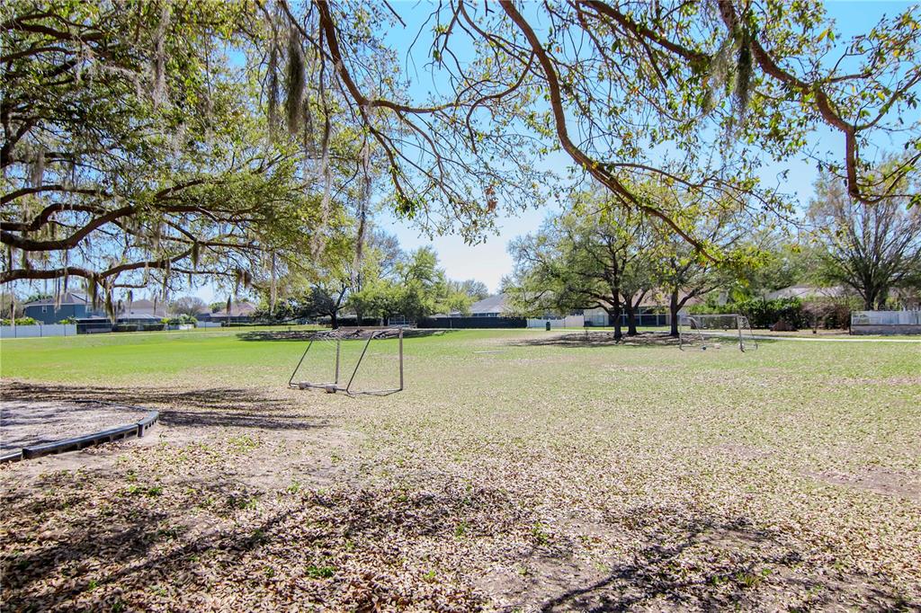 2604 Goldcrest Place Valrico, FL 33596 - Photo 50 of 72 a view of a park with large trees