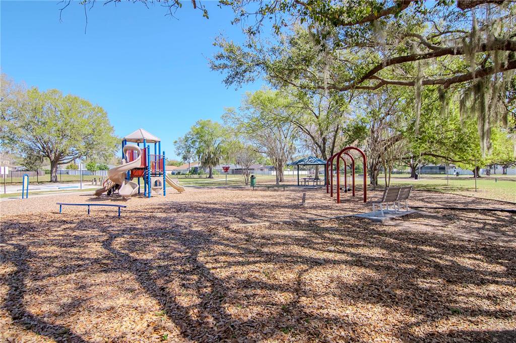 2604 Goldcrest Place Valrico, FL 33596 - Photo 51 of 72