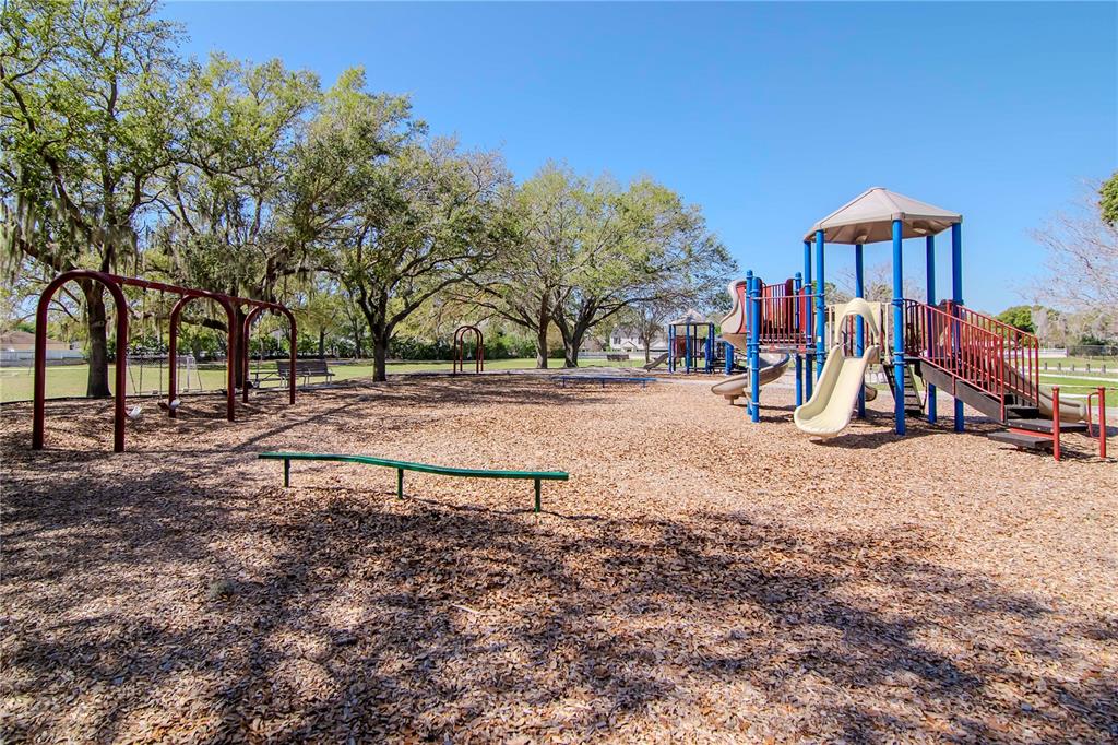 2604 Goldcrest Place Valrico, FL 33596 - Photo 52 of 72 a view of outdoor space with playground and green space