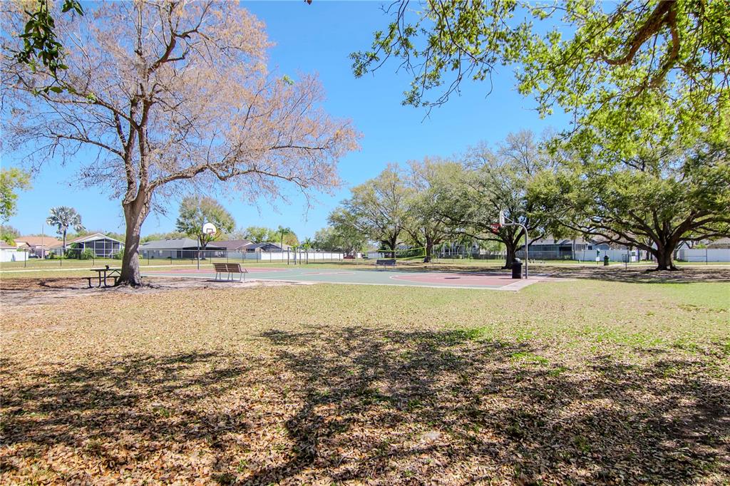 2604 Goldcrest Place Valrico, FL 33596 - Photo 53 of 72