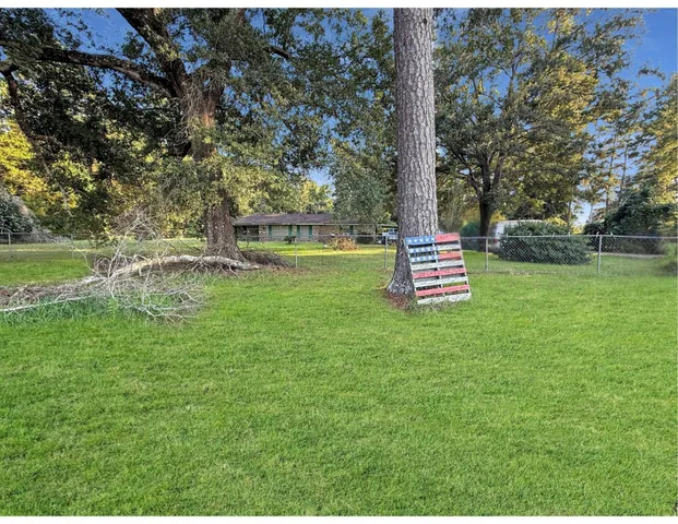 a view of a park with large trees