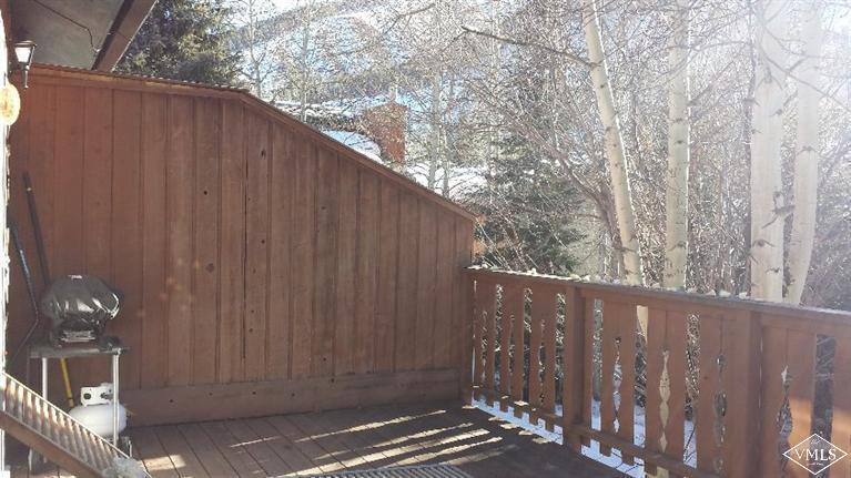 2821 Kinnickinnick Road, Unit 1C Vail, CO 81657 - Photo 20 of 21 Additional Photo