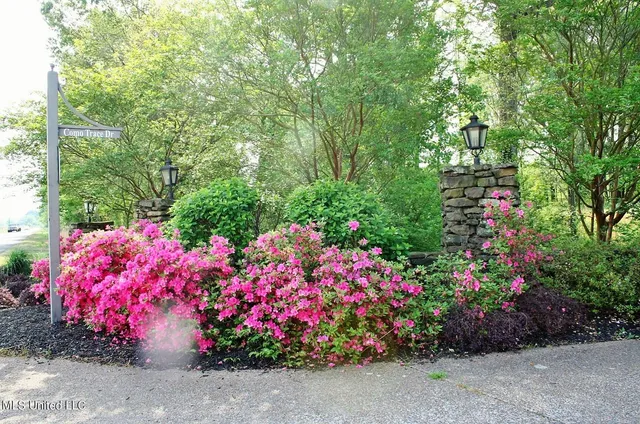 $100,000 | 6 Como Trace Drive, Senatobia, MS 38668