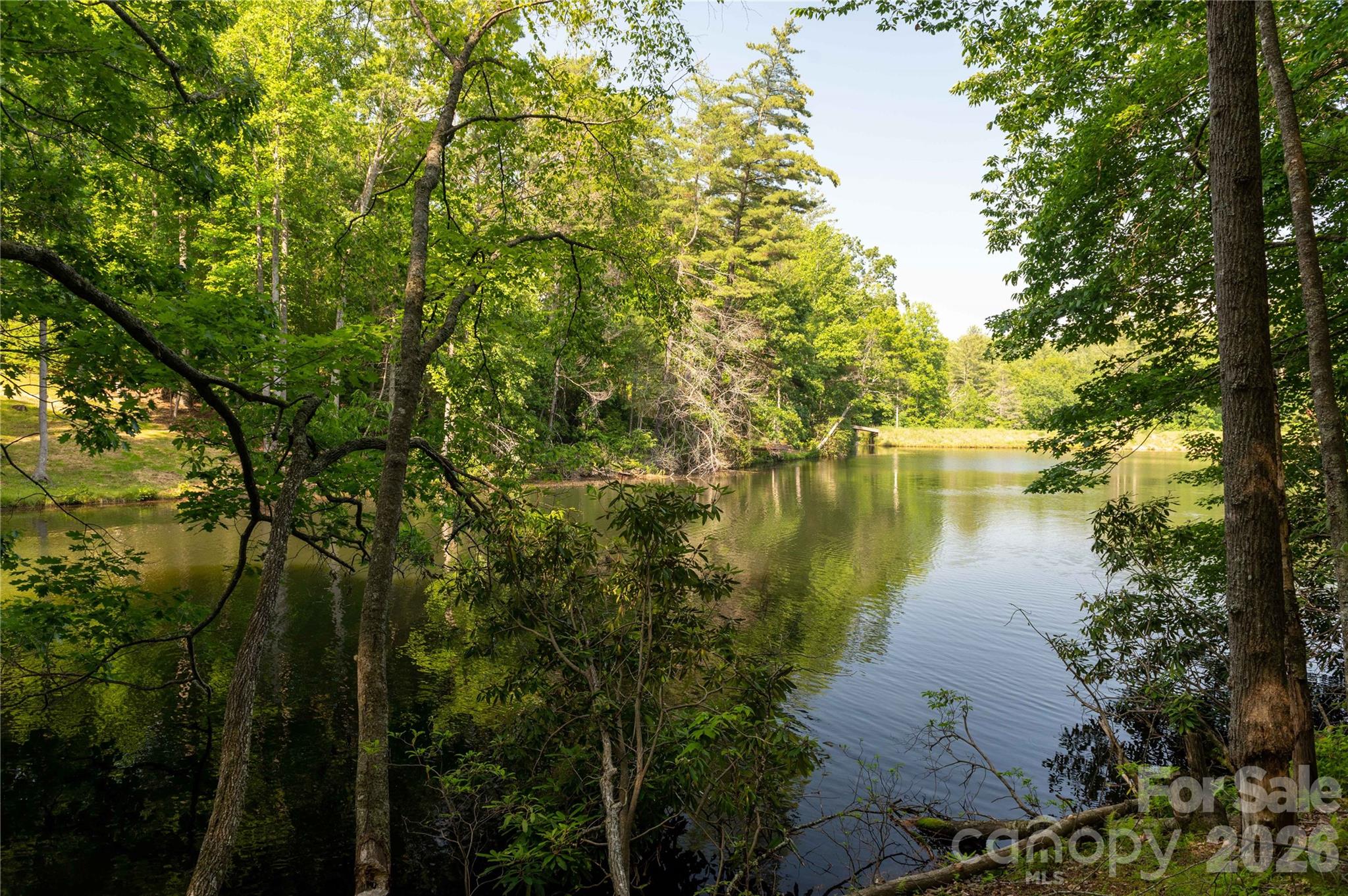 0 Deer Park Lake Road Spruce Pine, NC 28777 - Photo 13 of 24 a view of lake from a house