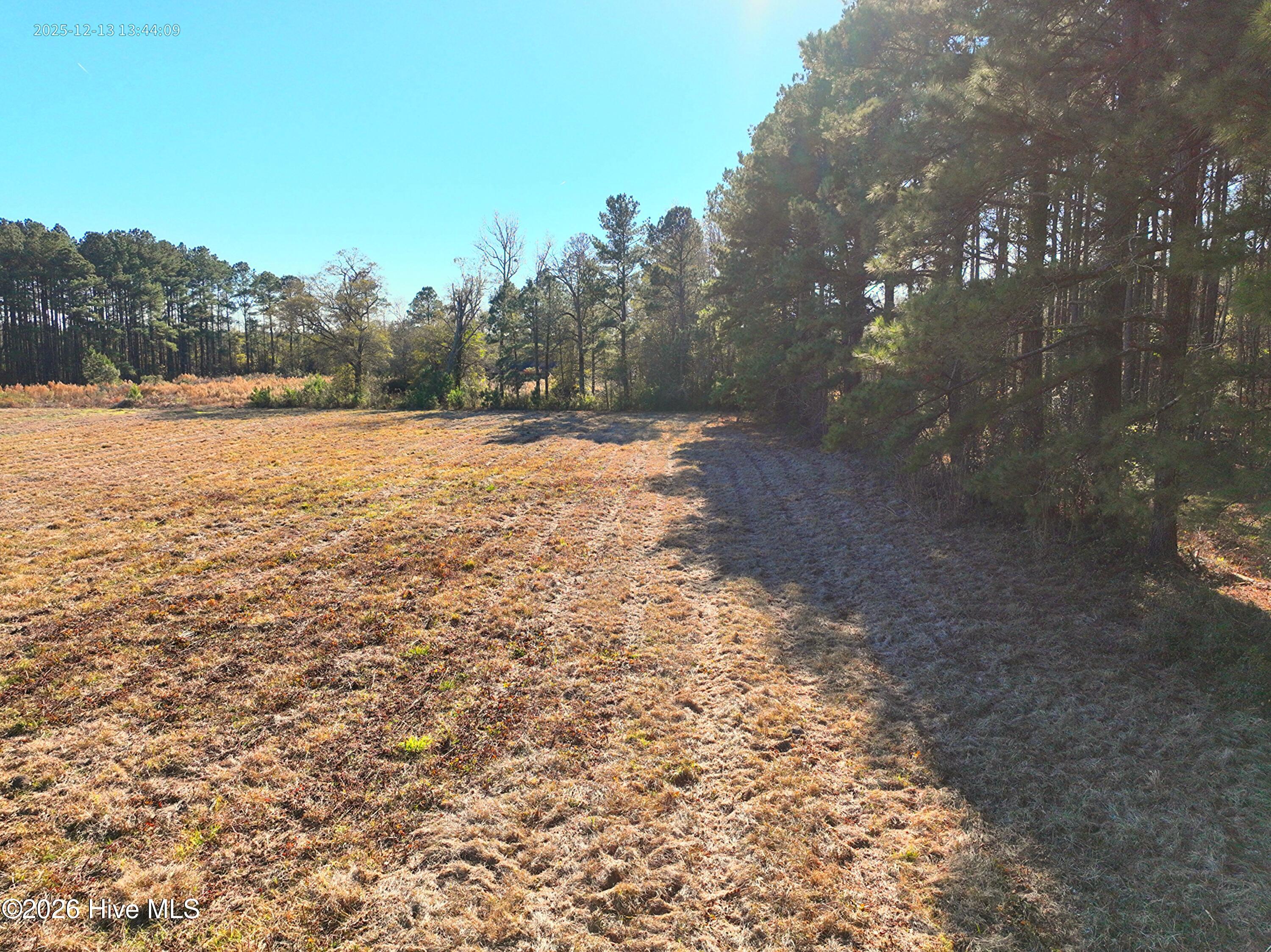 15.63 Croomsbridge Road Burgaw, NC 28425 - Photo 7 of 13 Copy of DJI_20251213134409_0032_V