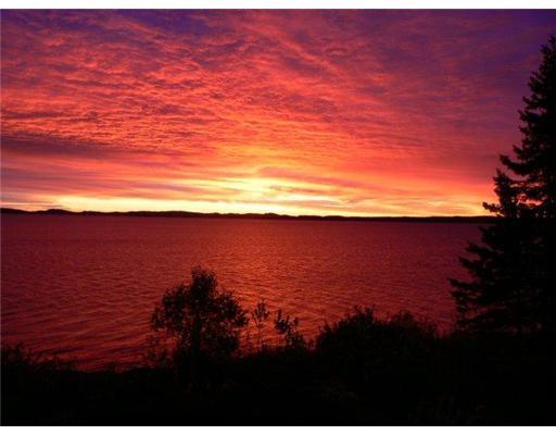 487 Shore Road Perry, ME 04667 - Photo 10 of 47 View. Sunrise