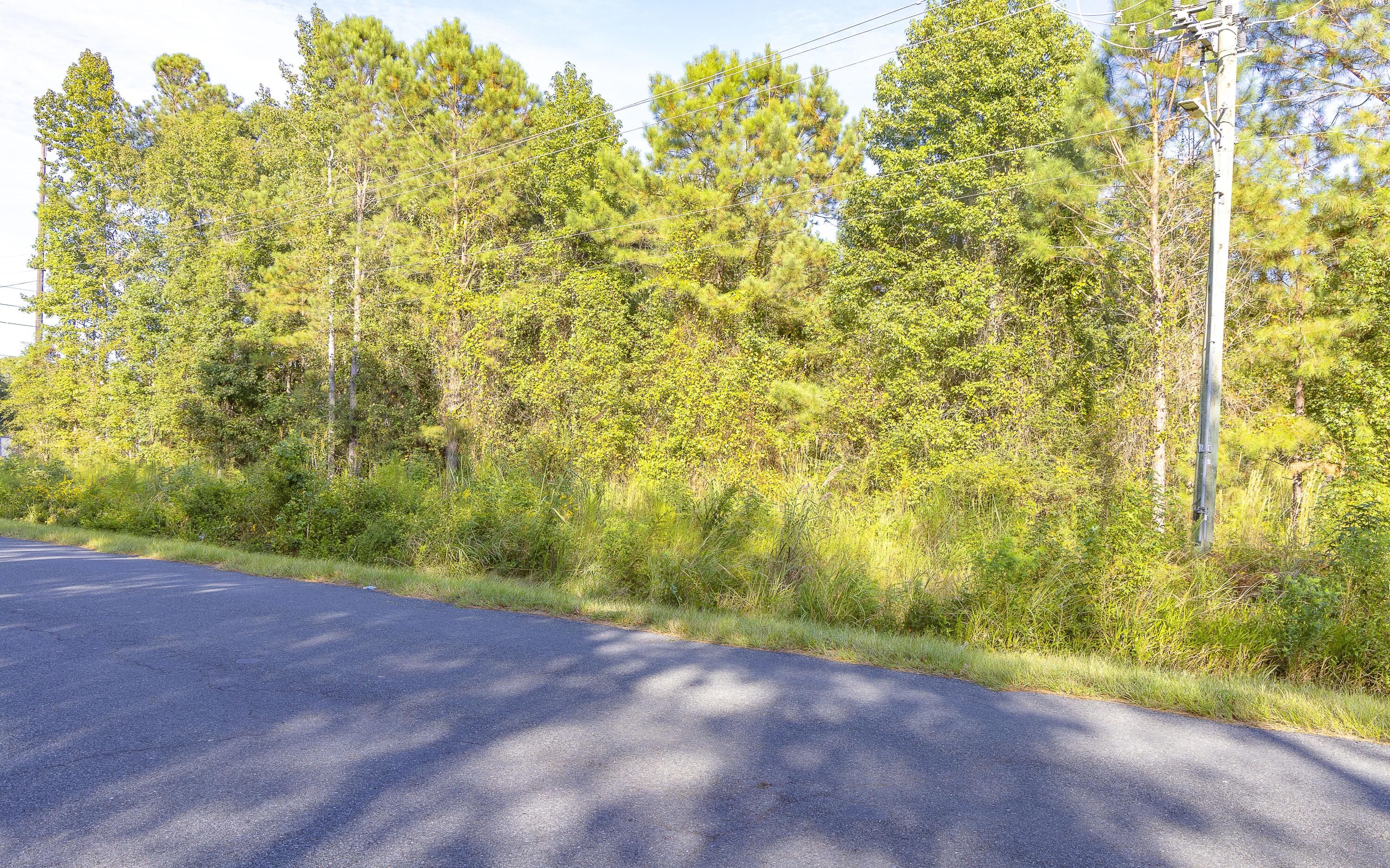-tbd South Locust Avenue South Denmark, SC 29042 - Photo 13 of 33 South Locust Avenue 9.27.25-06