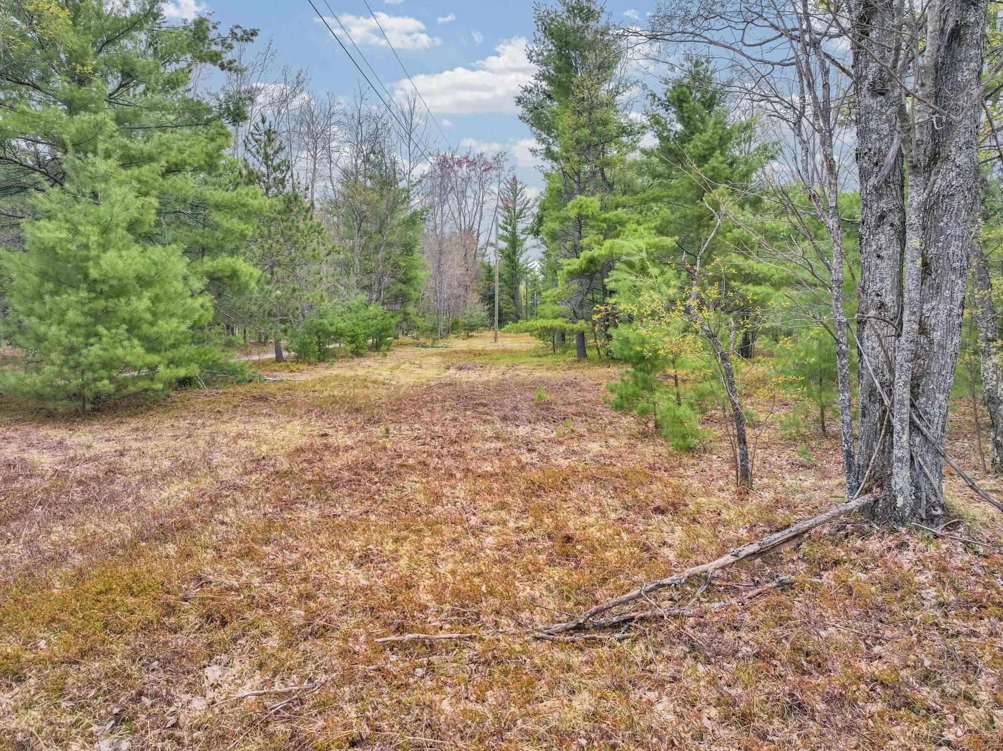 South Military Road Fife Lake, MI 49633 - Photo 6 of 18 Gallery Image 6