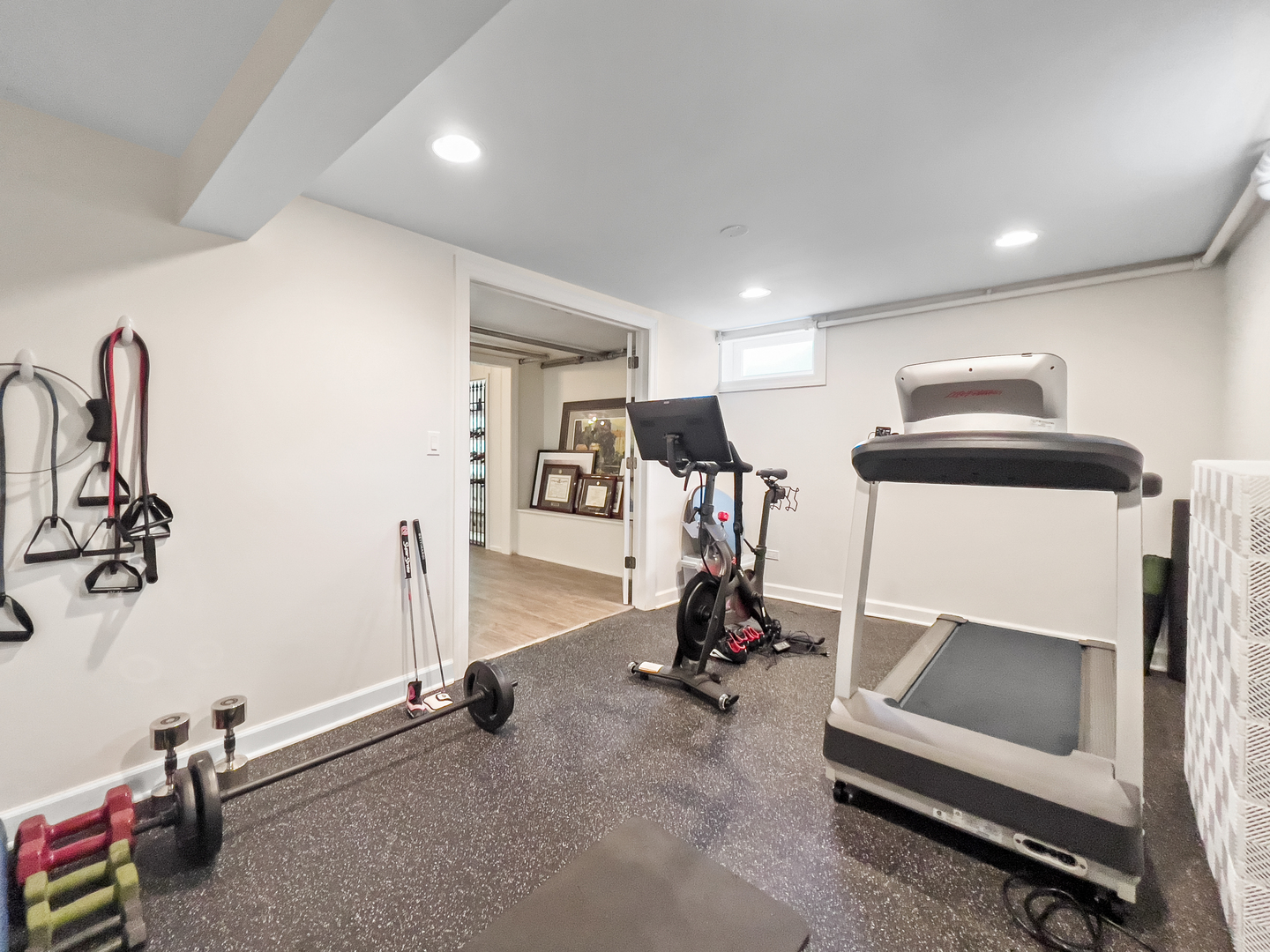 530 Grand Boulevard Park Ridge, IL 60068 - Photo 40 of 55 a view of a room with gym equipment
