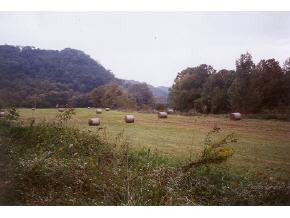 2348 Mendota Road Mendota, VA 24270 - Photo 4 of 4 Photo 4