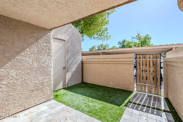 a view of a backyard