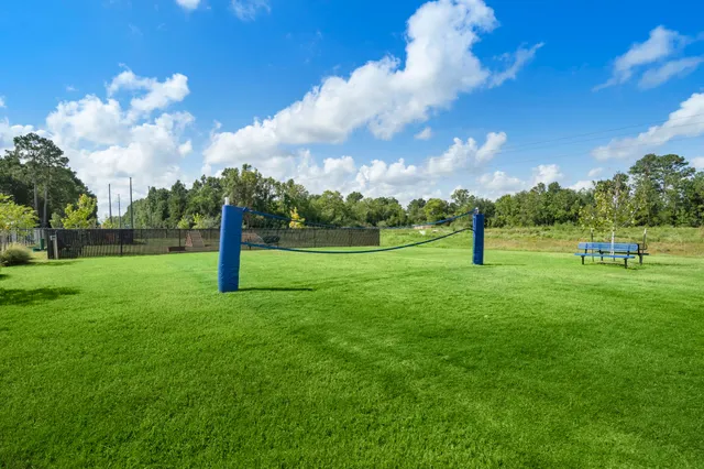 a view of a garden in the backyard