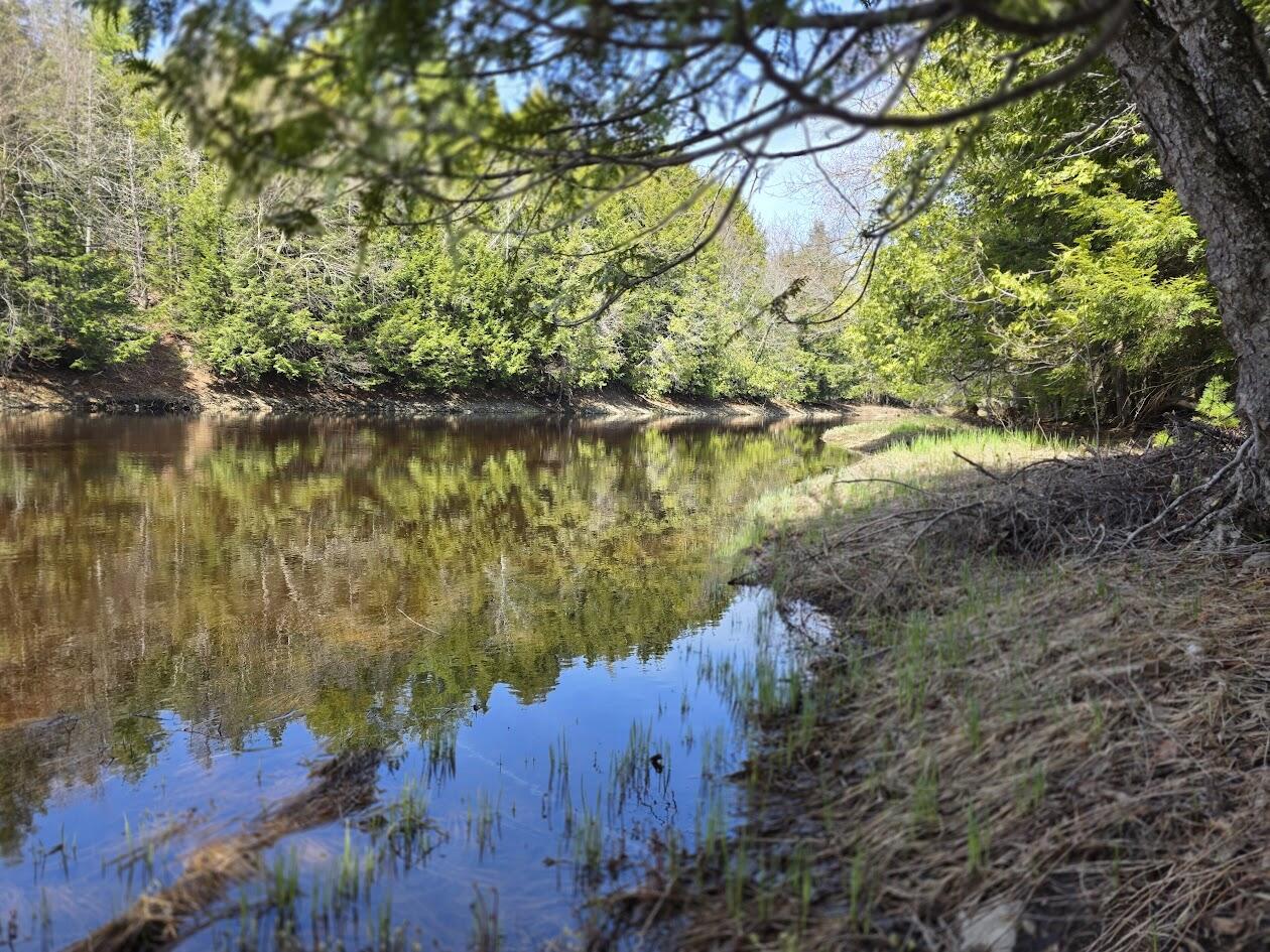 L2 Us Rt 2 Kingman, ME 04451 - Photo 17 of 18 20260513_111646