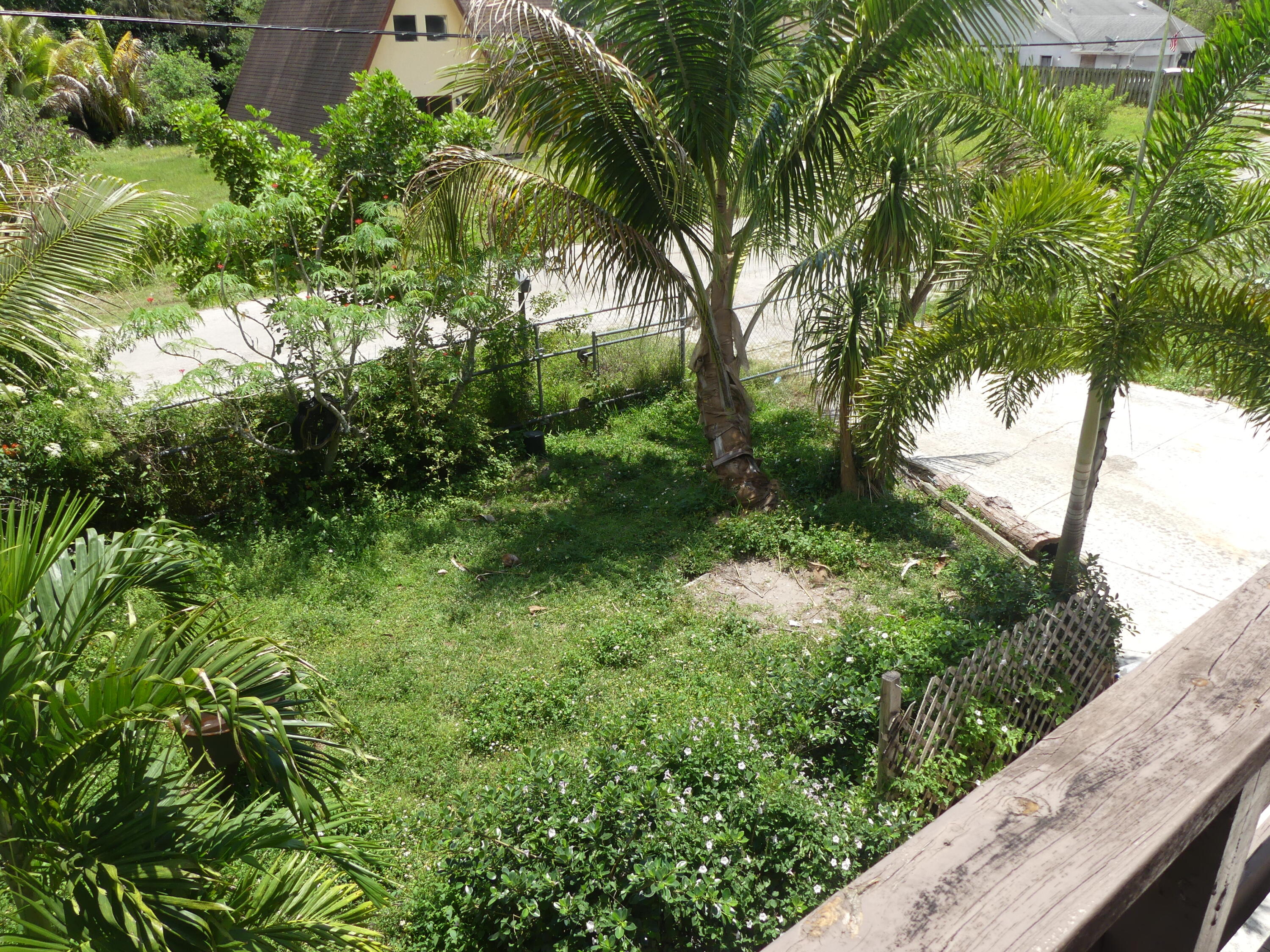 6633 Rigger Road Lake Worth, FL 33462 - Photo 19 of 28 a view of a garden with plants and large trees
