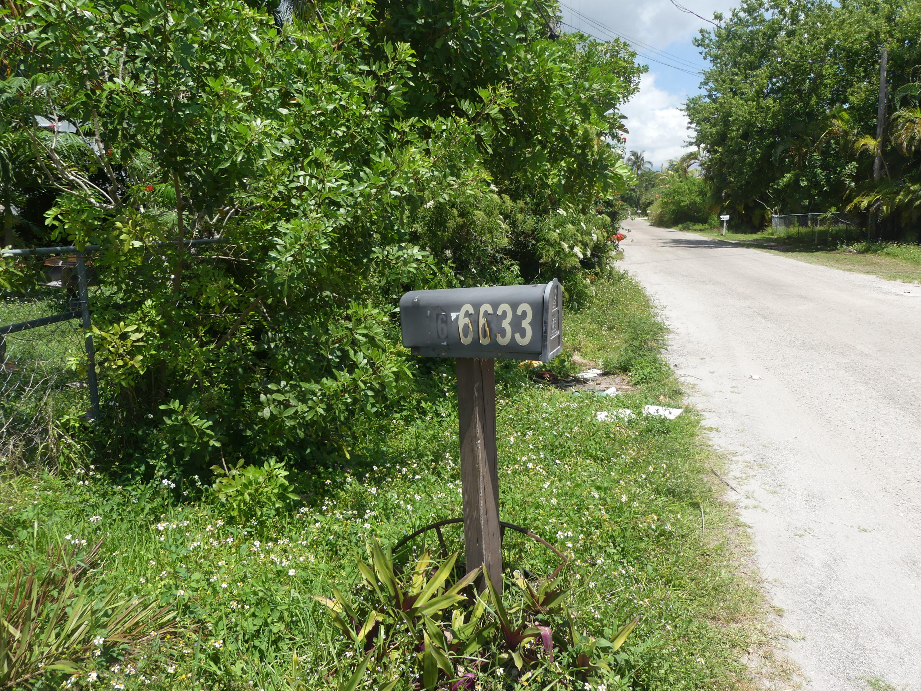 6633 Rigger Road Lake Worth, FL 33462 - Photo 5 of 28 a view of a garden