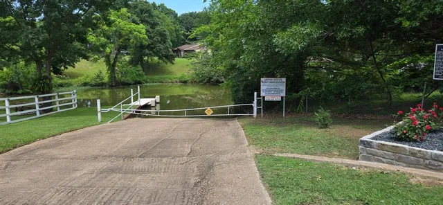 a view of a garden with a slide