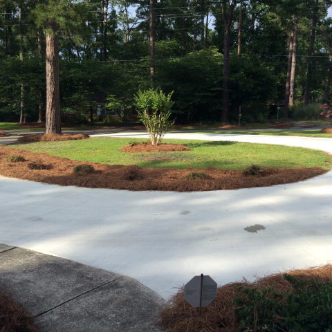1868 Upper River Road Macon, GA 31211 - Photo 2 of 33 a view of a yard