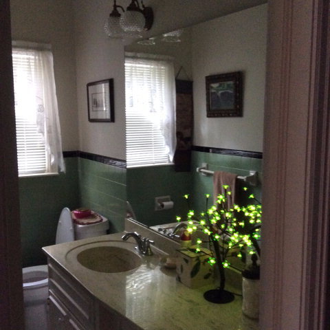 1868 Upper River Road Macon, GA 31211 - Photo 25 of 33 a bathroom with a sink a vanity and a mirror
