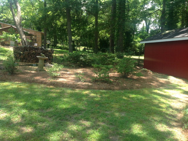 1868 Upper River Road Macon, GA 31211 - Photo 30 of 33 a backyard of a house with lots of green space