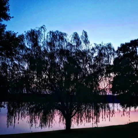 $1,199,000 | 487 Lakeshore Drive, Lexington, TN 38351