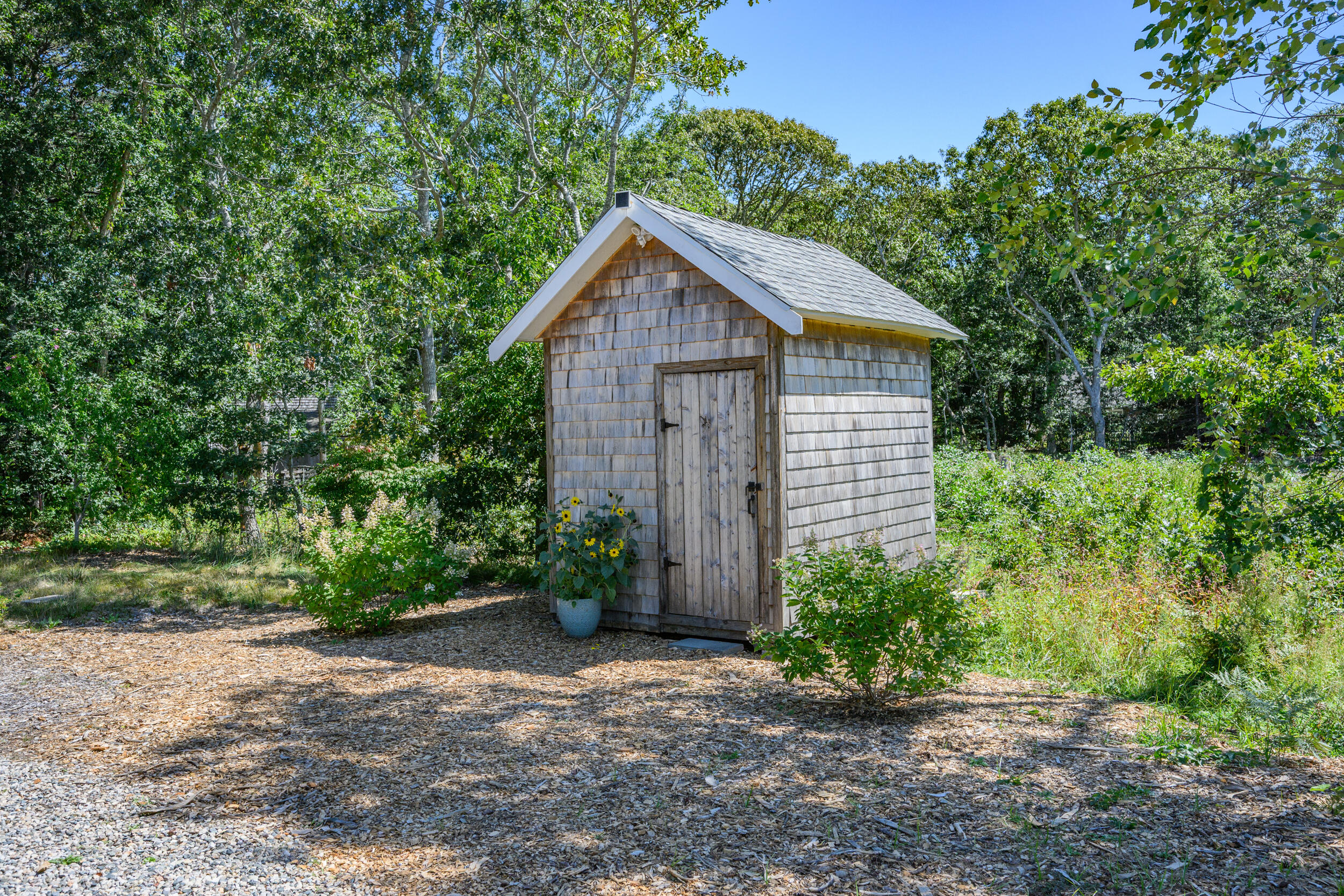 19 Burning Bush Way Brewster, MA 02631 - Photo 48 of 54 a view of barn with a small yard plants and large trees
