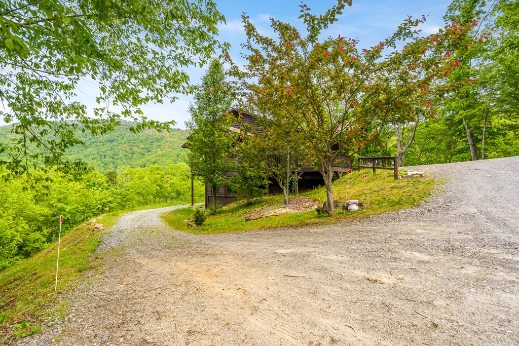 445 Tranquil Cove Road Murphy, NC 28906 - Photo 11 of 91 a view of a park with large trees