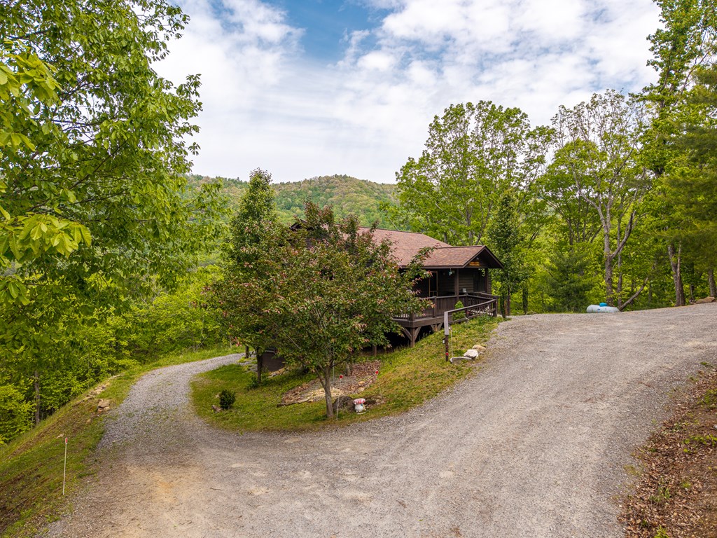 445 Tranquil Cove Road Murphy, NC 28906 - Photo 12 of 91