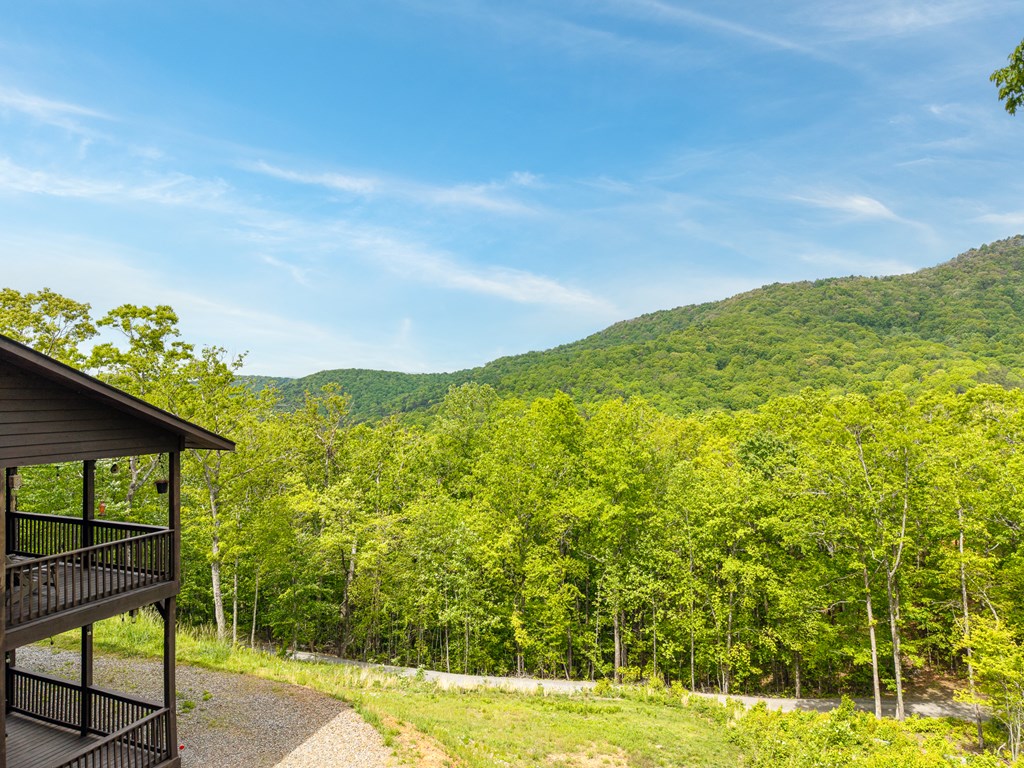 445 Tranquil Cove Road Murphy, NC 28906 - Photo 16 of 91