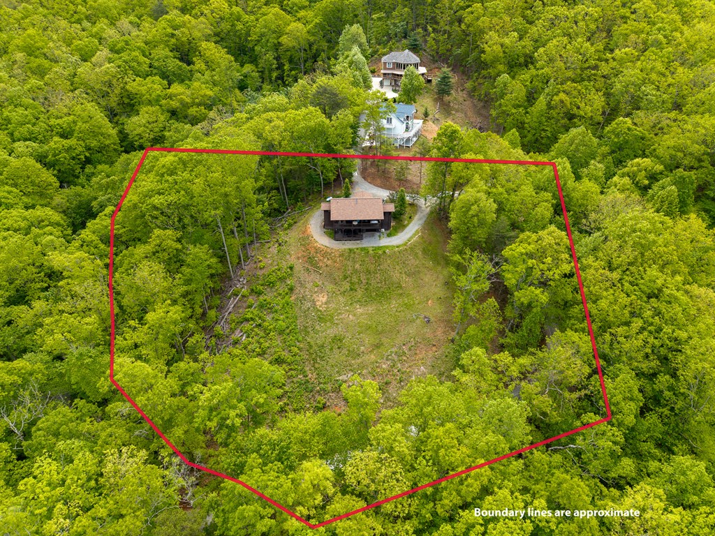 445 Tranquil Cove Road Murphy, NC 28906 - Photo 19 of 91